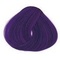 Soft Violet - SGS110814